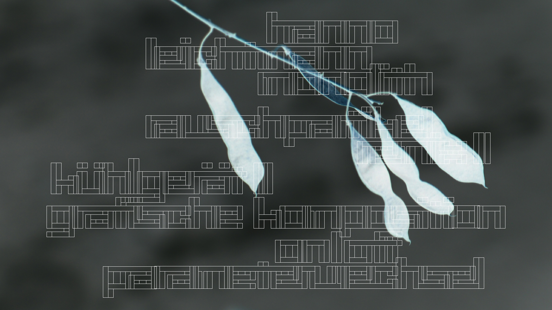 2021-03-10 Hanno Leichtmann - 1996 Monolith (rauschpartikel Remix 1 - 3)